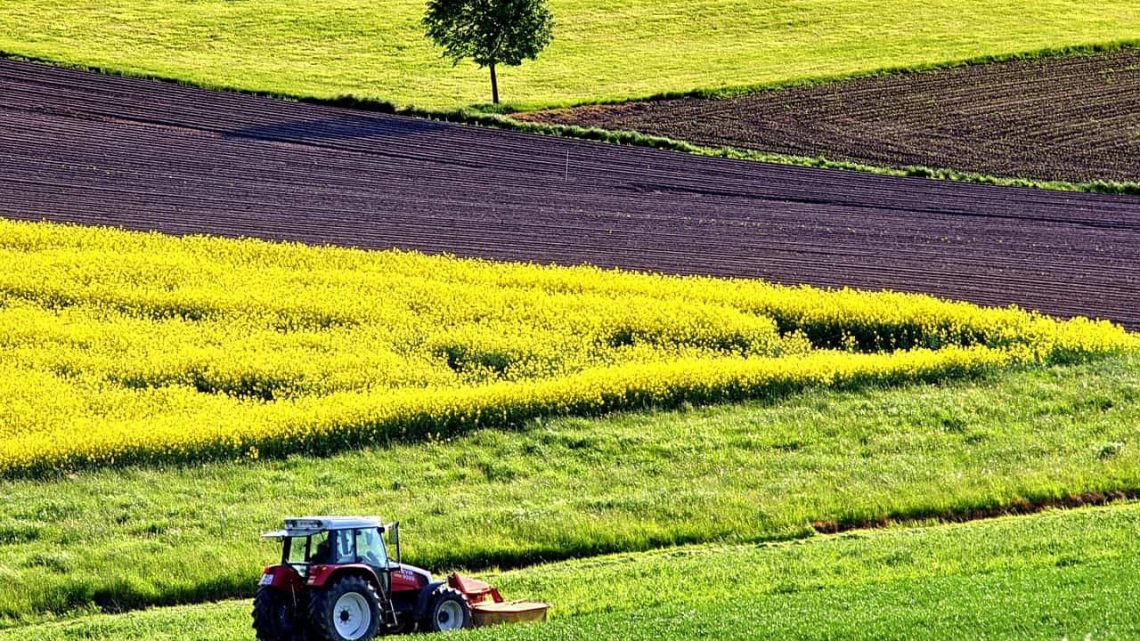 Agribot monitora l’irrigazione del suolo grazie ai dispositivi LoRa Agribot monitora l’irrigazione del suolo grazie ai dispositivi LoRa