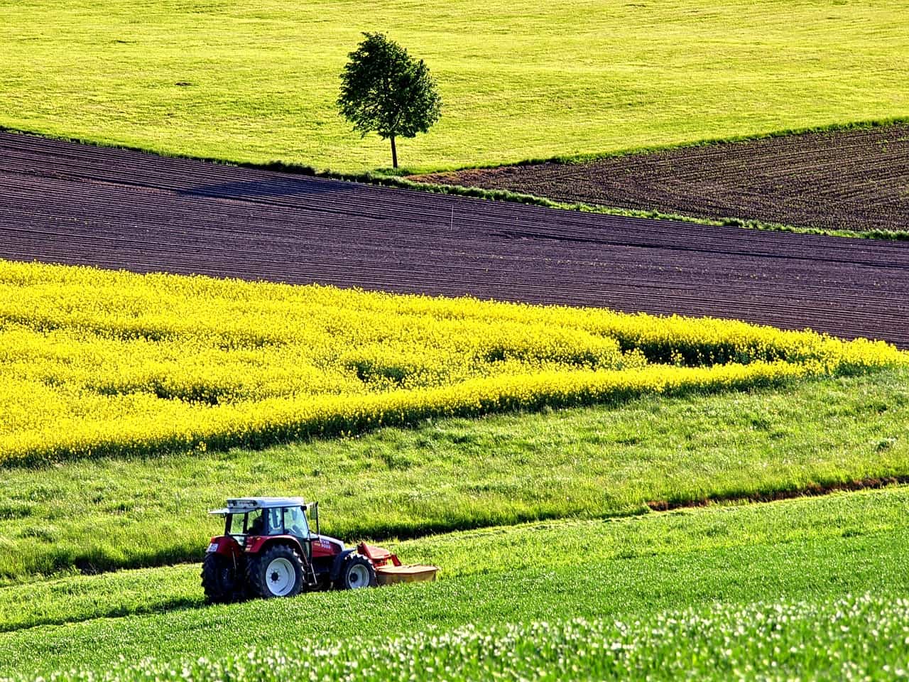 agribot monitora l'irrigazione del suolo grazie ai dispositivi lora